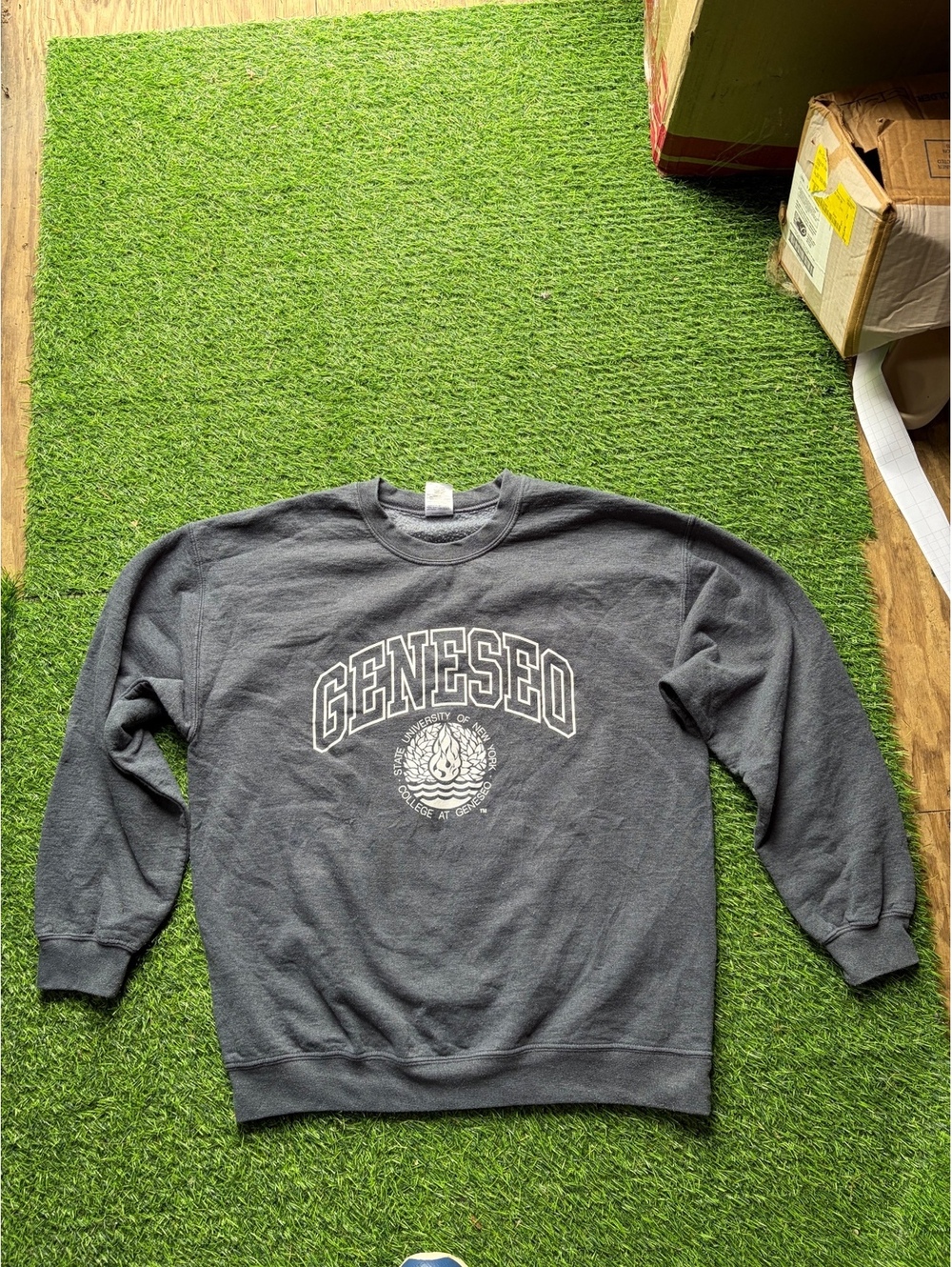 Vintage Y2K Geneseo University of New York Crew Neck